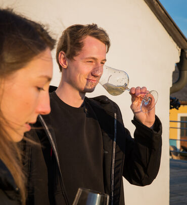 Weingut Schödl im Weinviertel