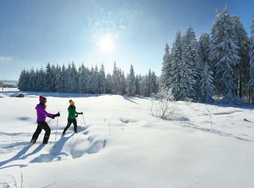 Schneeschuhwandern im Böhmerwald