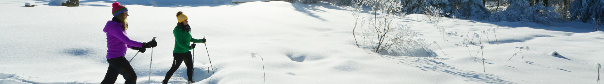 Schneeschuhwandern im Böhmerwald