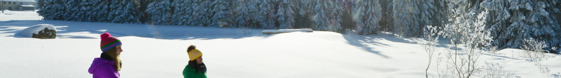 Schneeschuhwandern im Böhmerwald