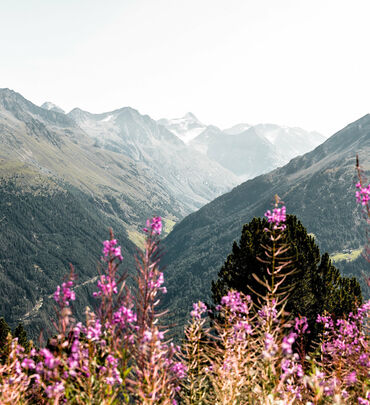 Wandern in den Ötztaler Bergen