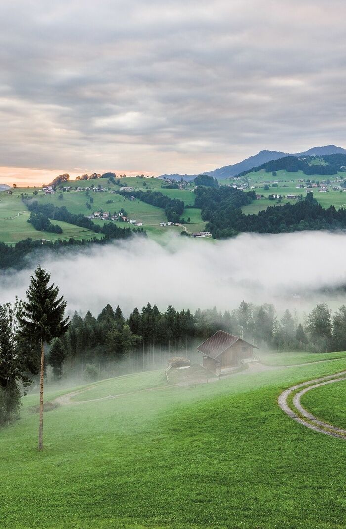 Bregenzerwald bei Müselbach