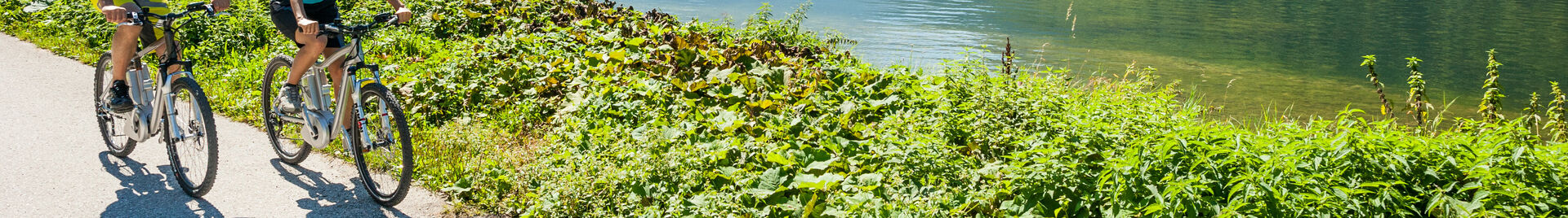 E-Biken am Hallstättersee