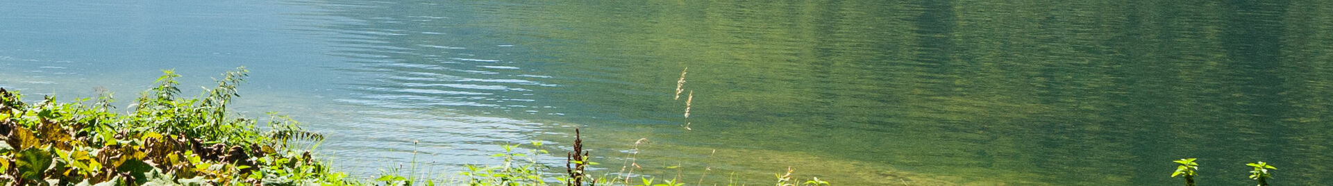 E-Biken am Hallstättersee