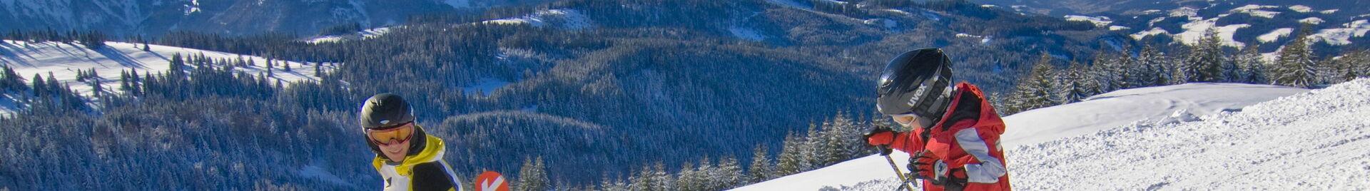 Skifahren in Hinterstoder